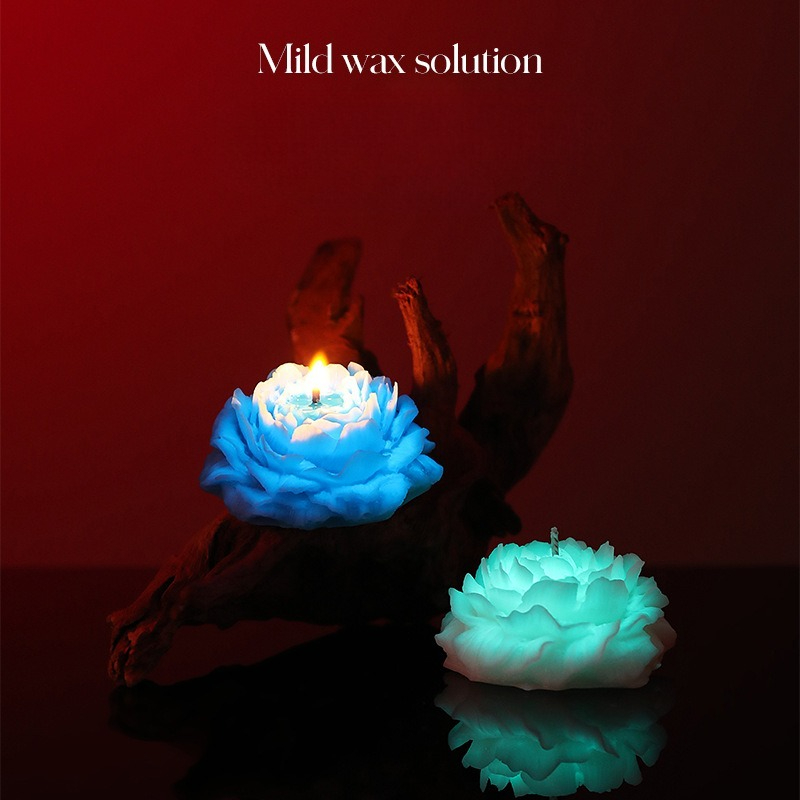 Luminous Candle Rose Aromather - Candle Making Thermometer recension och pris